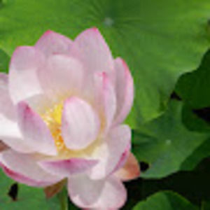 Meet your Posher, Maddi